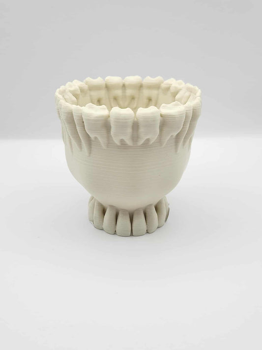 Teeth Cup No Handle