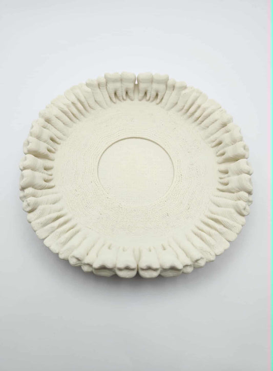 Teeth Saucer