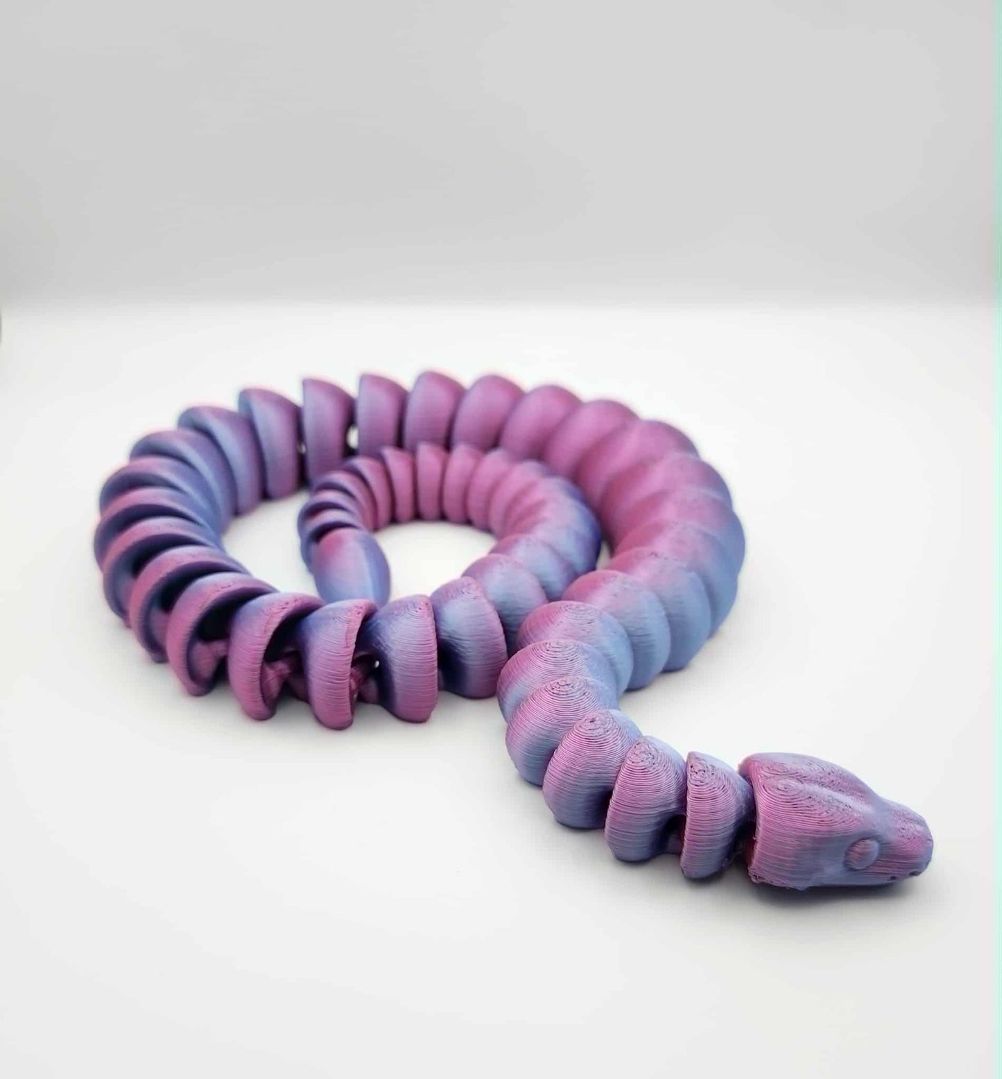 Ball Python Snake Medium