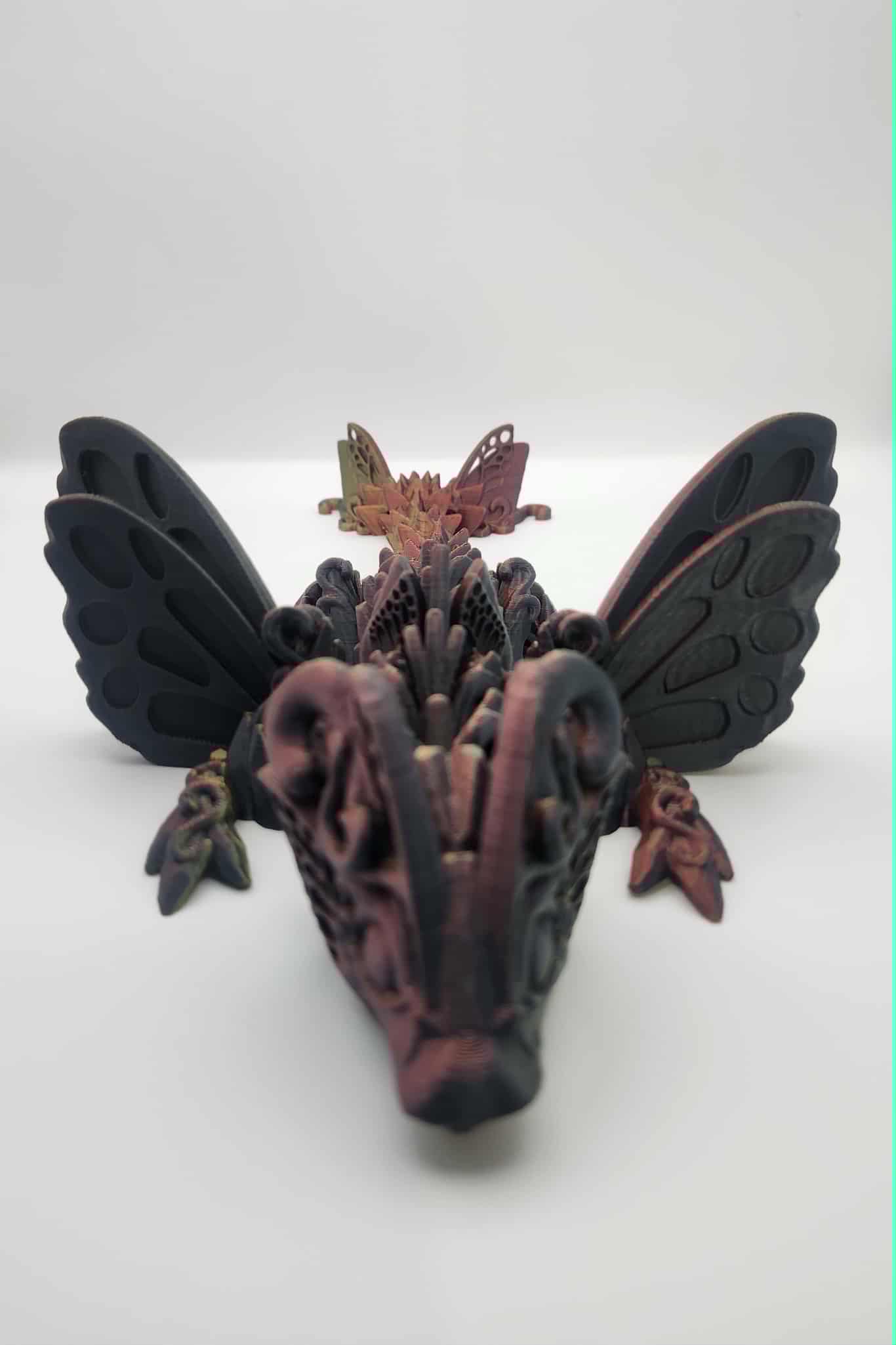 Baby Butterfly Short Wing Dragon